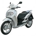 steed  mistral 125-150
